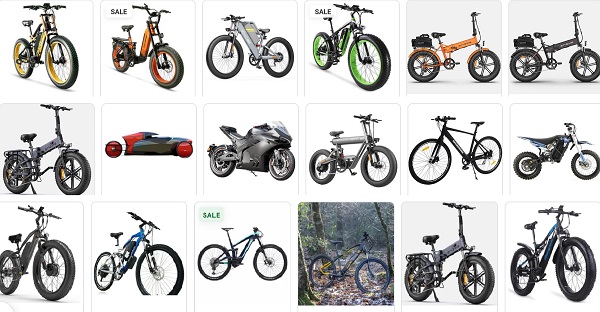 Type and Description: What is an E-Bike (EAPC)?